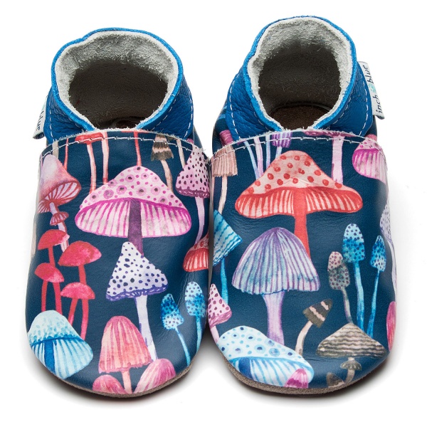 Enchanted Toadstool