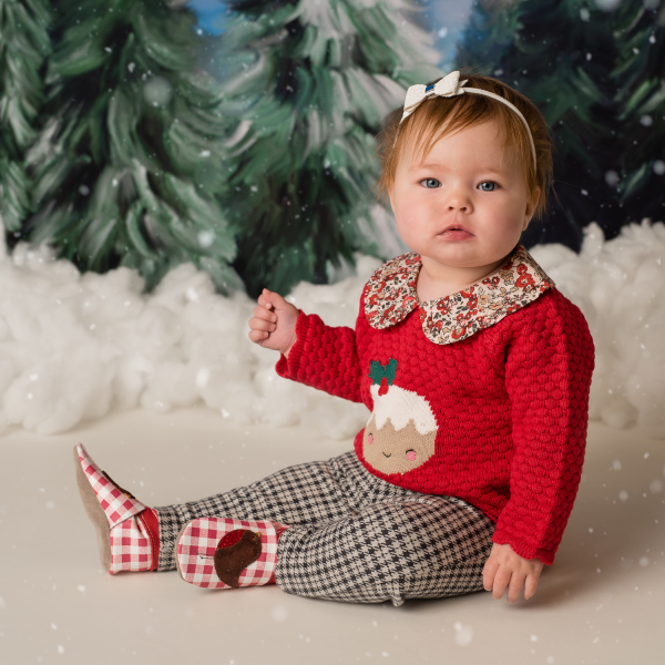 Robin Red Gingham