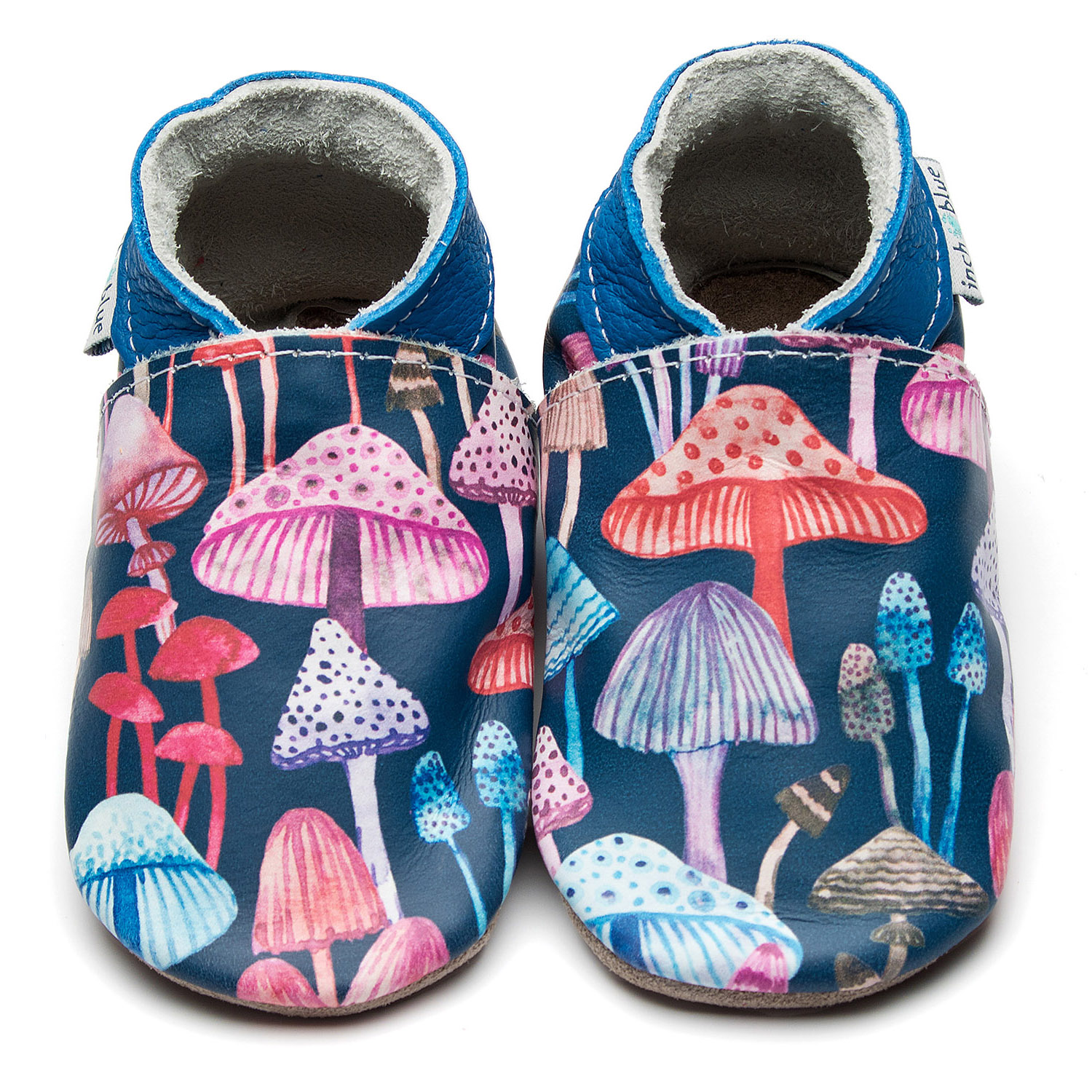 Enchanted Toadstool
