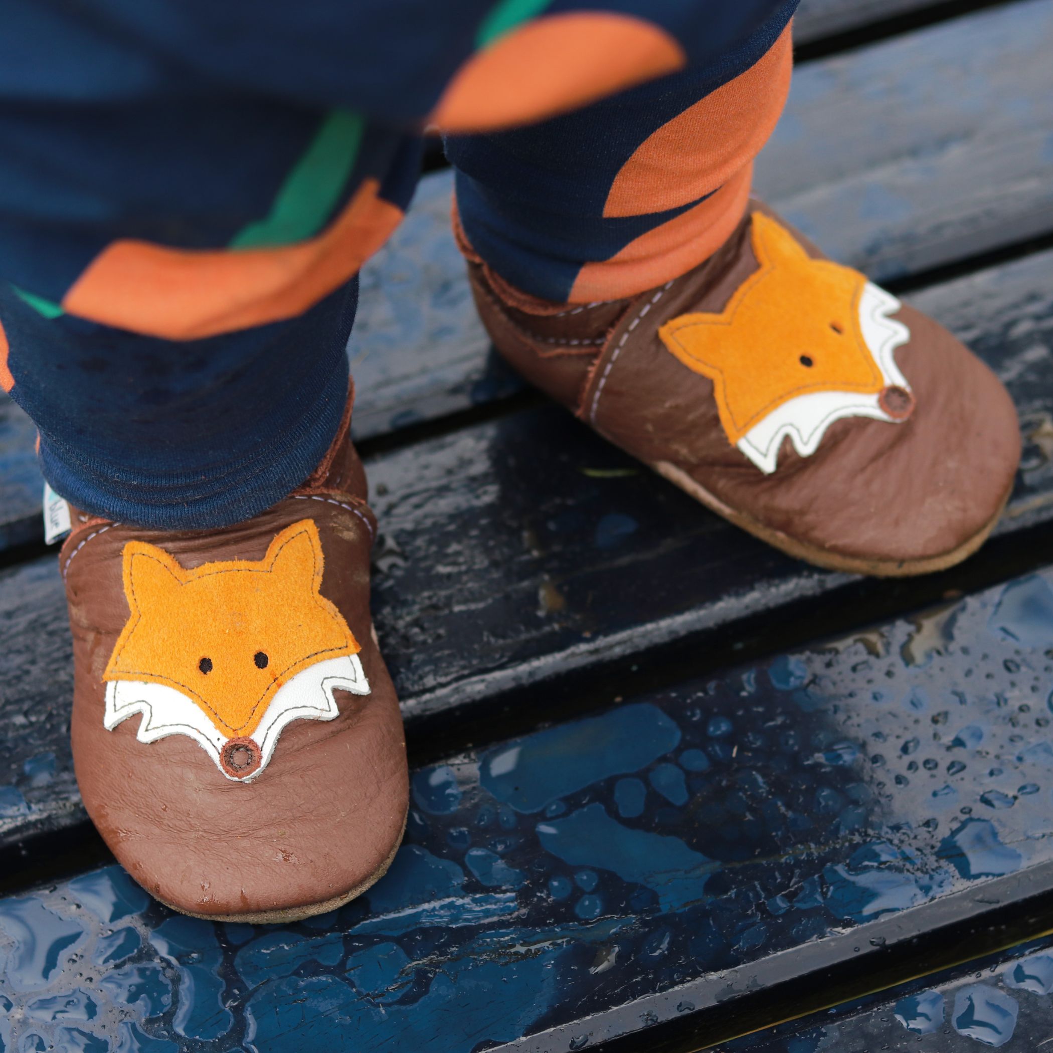 Inch Blue Mr Fox Chocolate/Tangerine photo 2